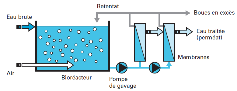 Reut : vers des membranes de filtration plus sobres en énergie